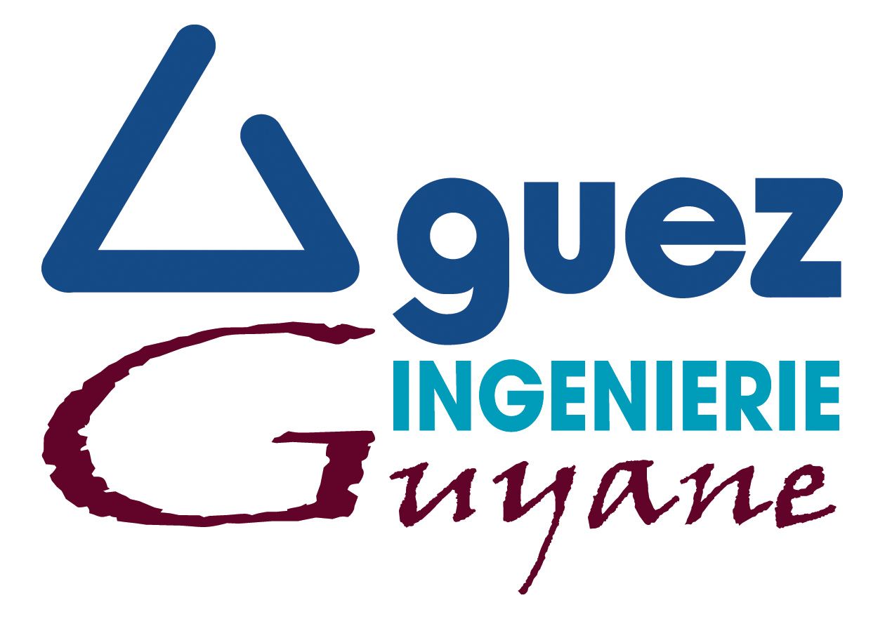 Logo GTI Guyane